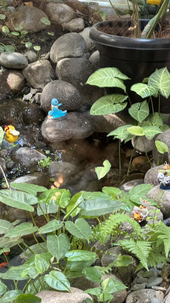 Suka kucing tweet media