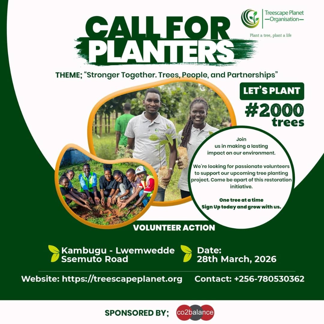 Akello Patience tweet media