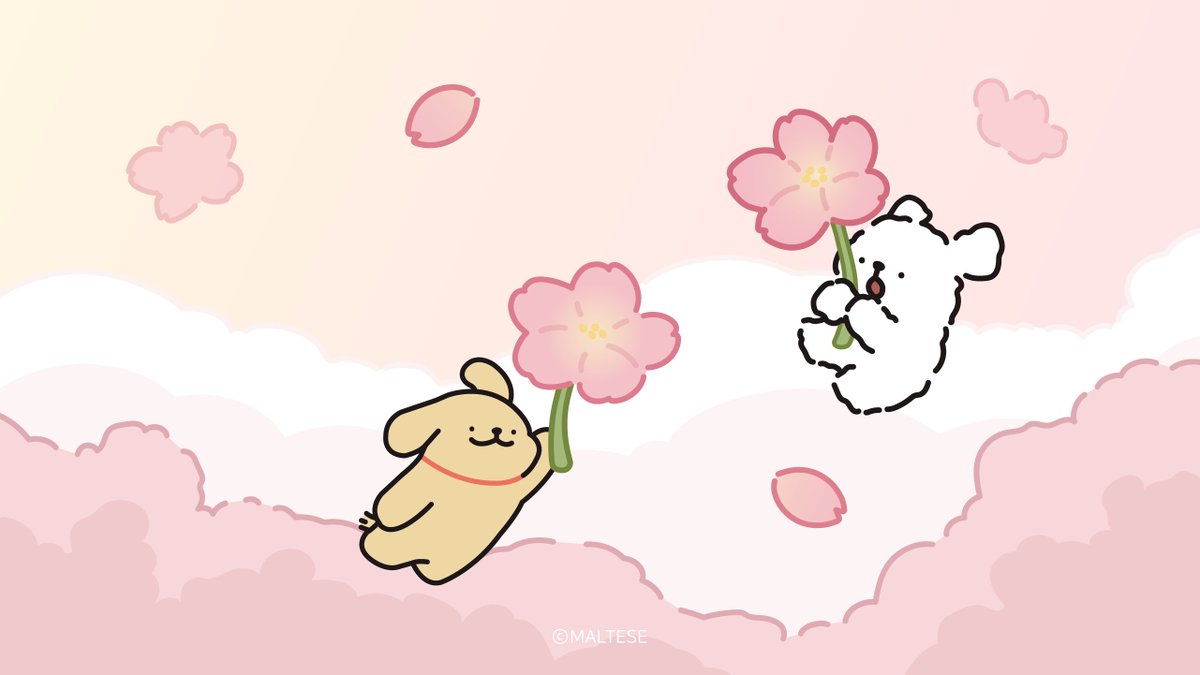 モルチーズ【公式】 (@maltese_jp) / Posts / X