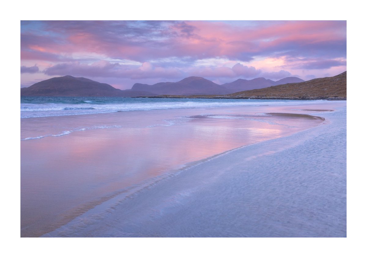 Verity Milligan tweet media