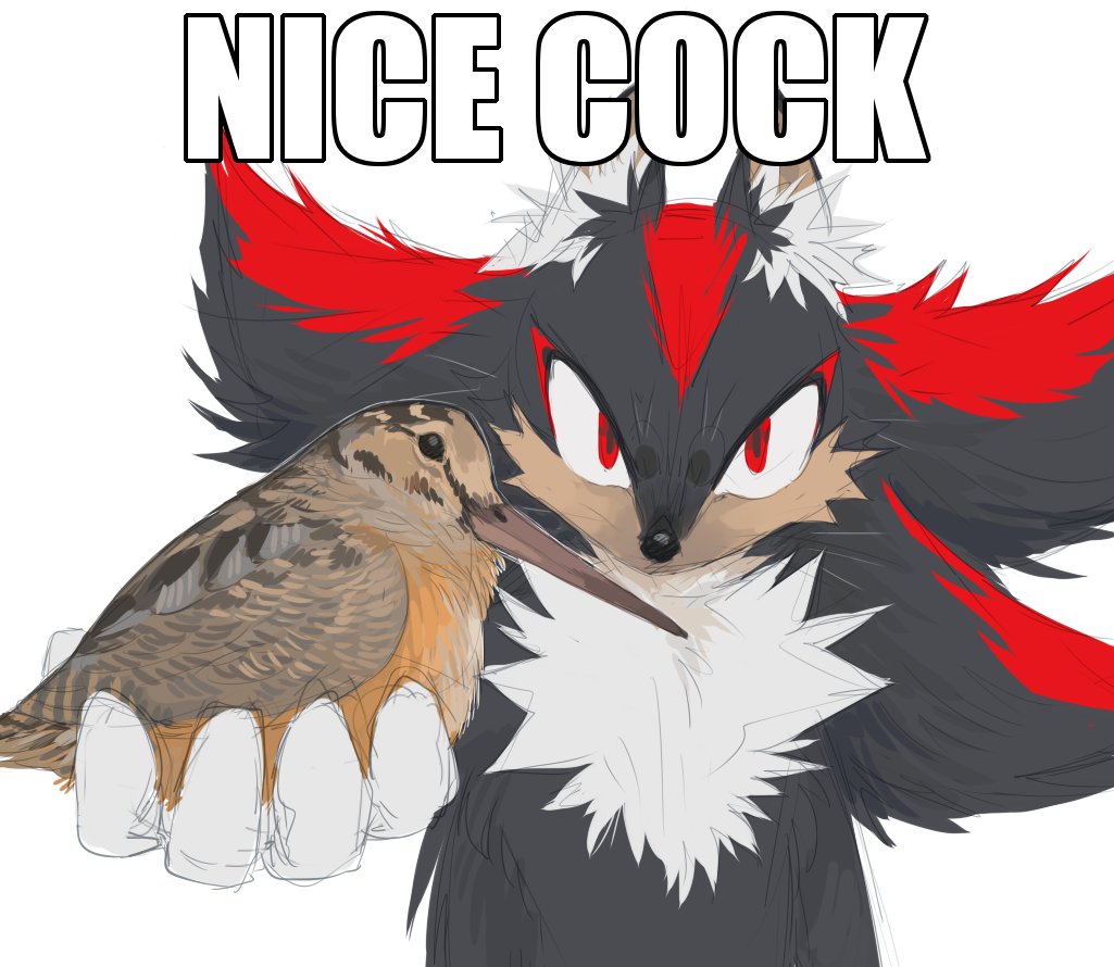 Cloudya ★ COMMS: CLOSED tweet media