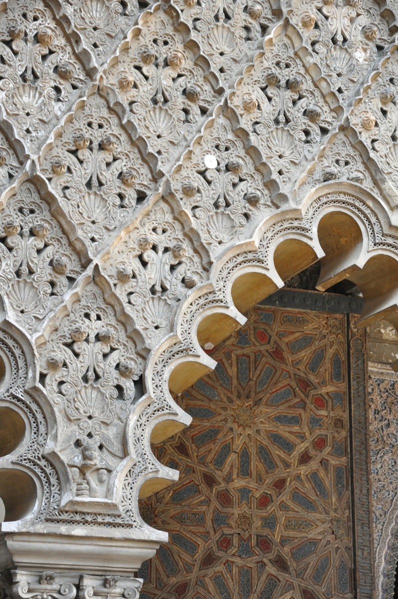 طــالــوم الــذهبــي tweet media