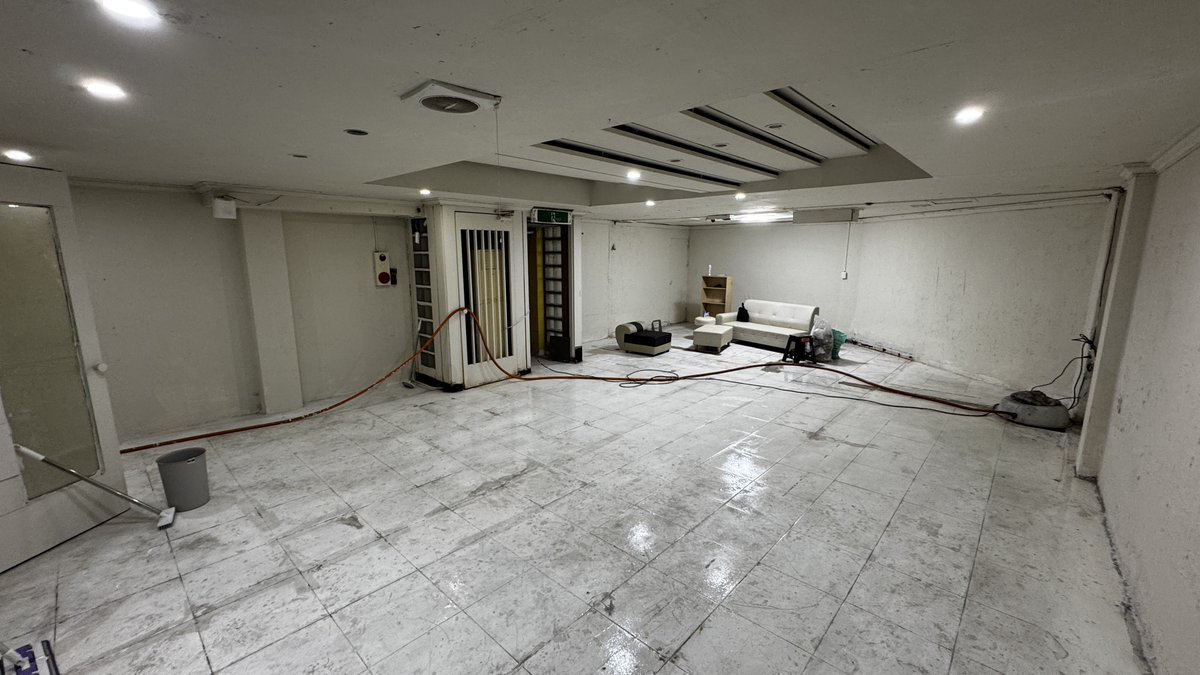 Wolfe K.Shephard tweet media