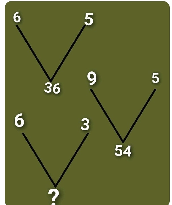 Zara🇺🇸 tweet media