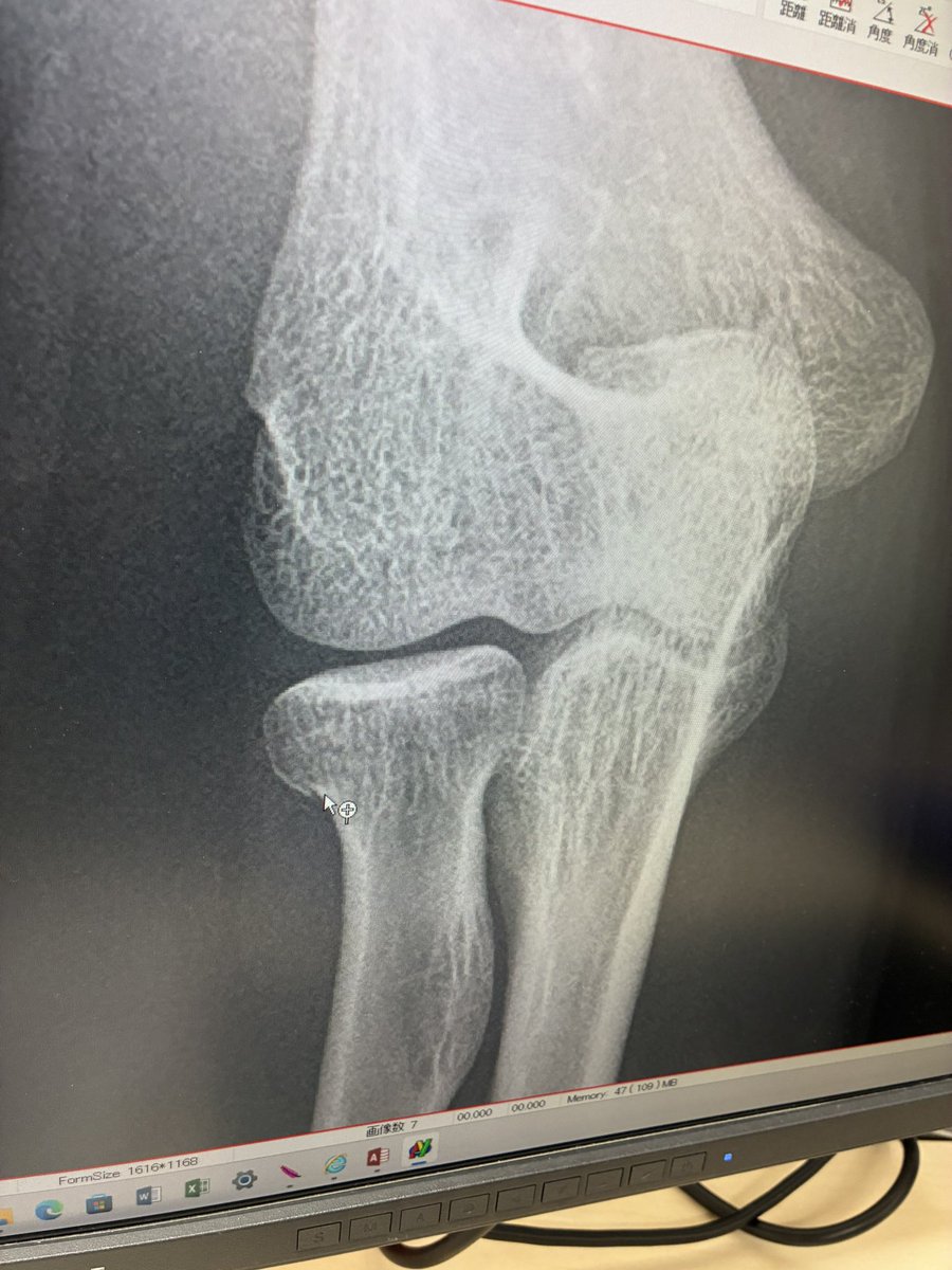 えにくま tweet media