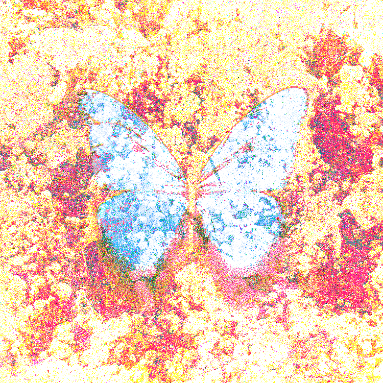 NINFA BOT tweet media