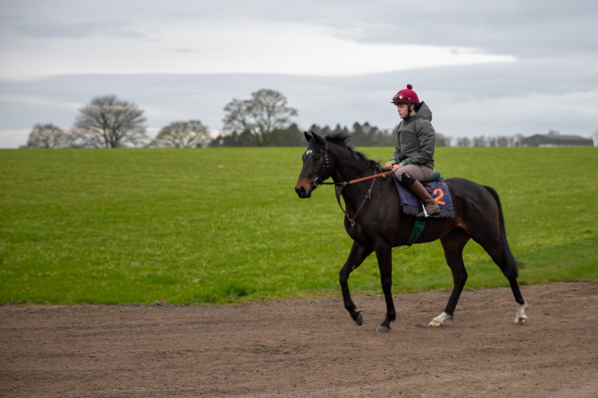 Middleham Park Racing tweet media