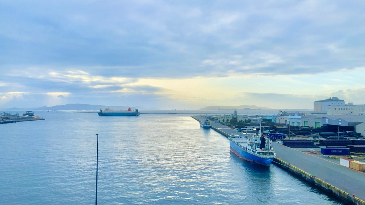 夏野雨 tweet media