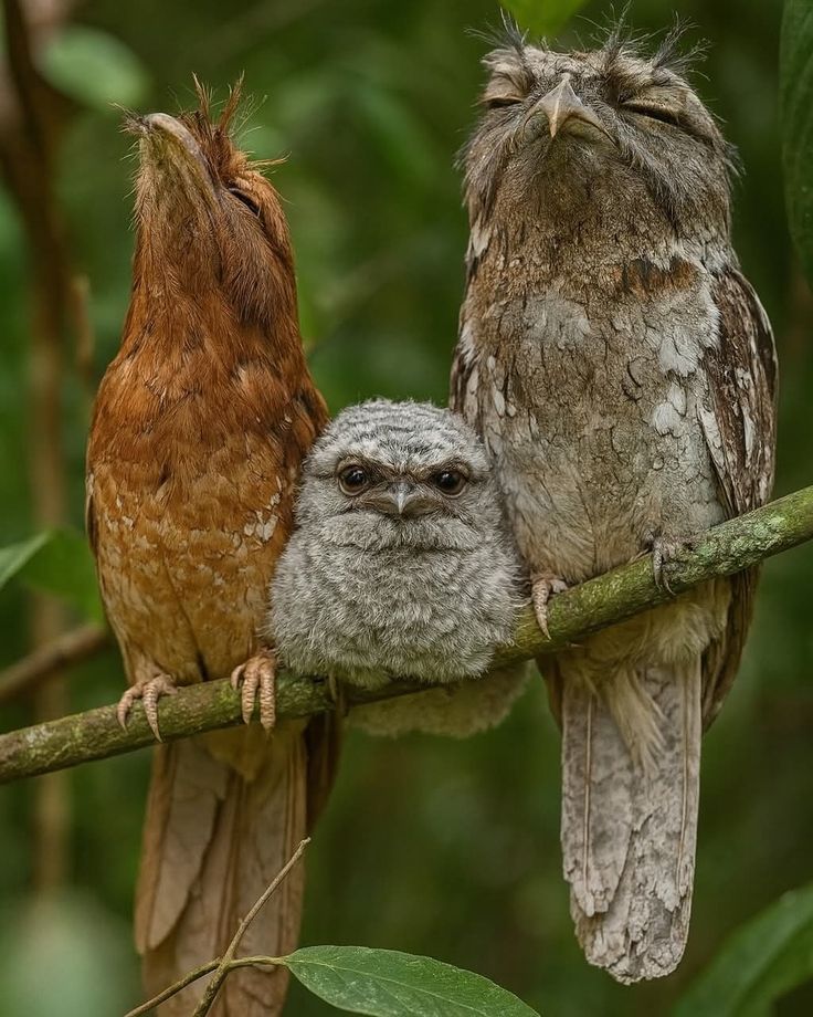 Janne (ne ne ne)👀 tweet media