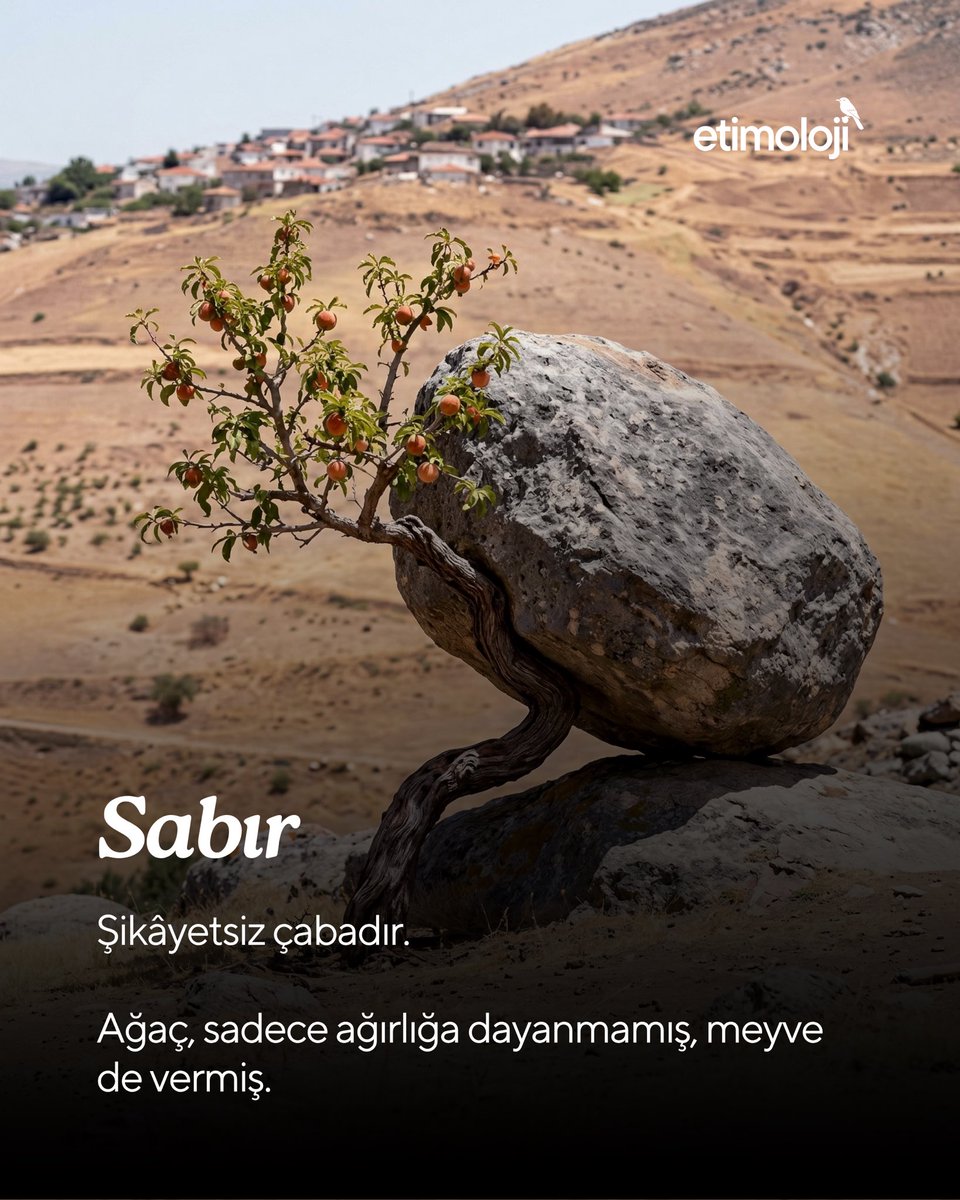 Sabır nedir?

"Sabır, kara bir dikeni yutmak ve diken içini parçalayıp geçerken de hiç ses çıkarmamaktır."