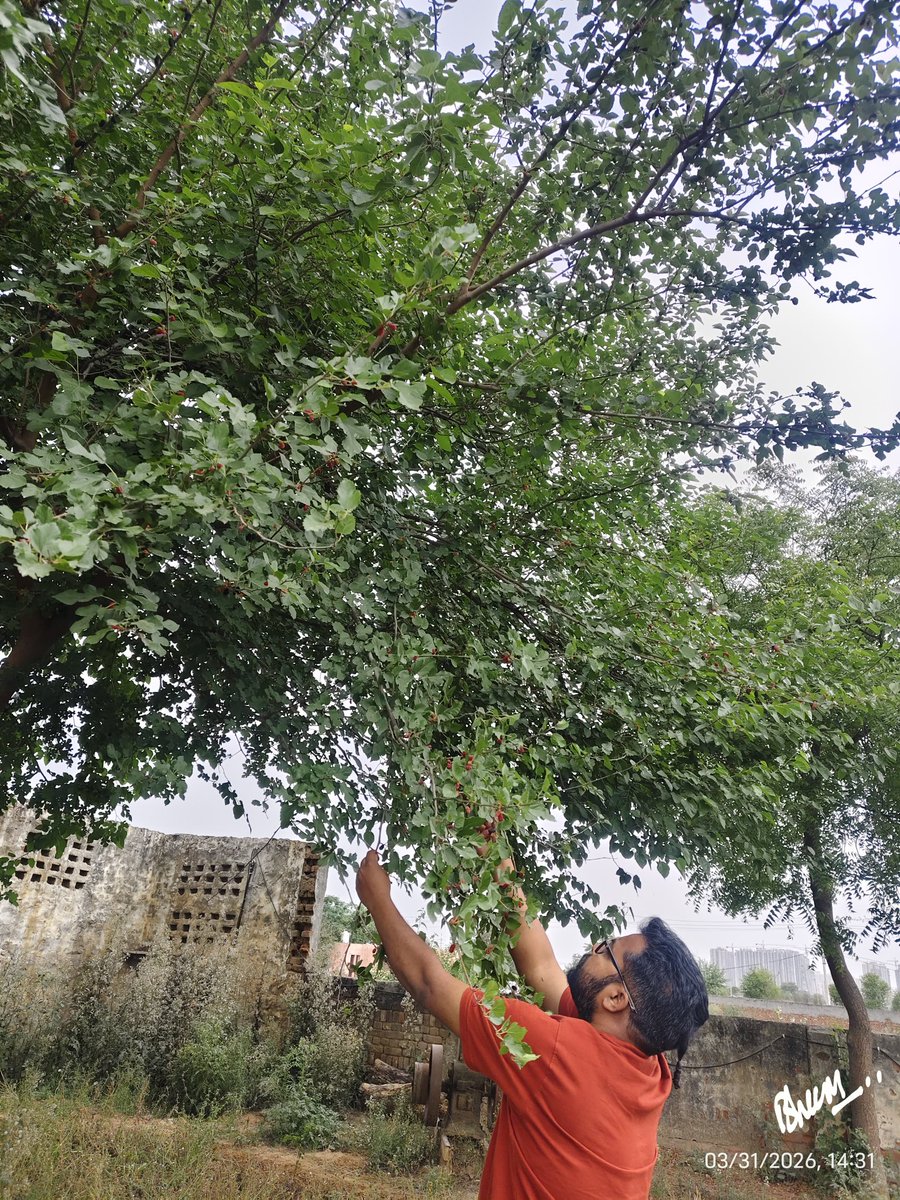 Ach. Ankur Arya Official tweet media