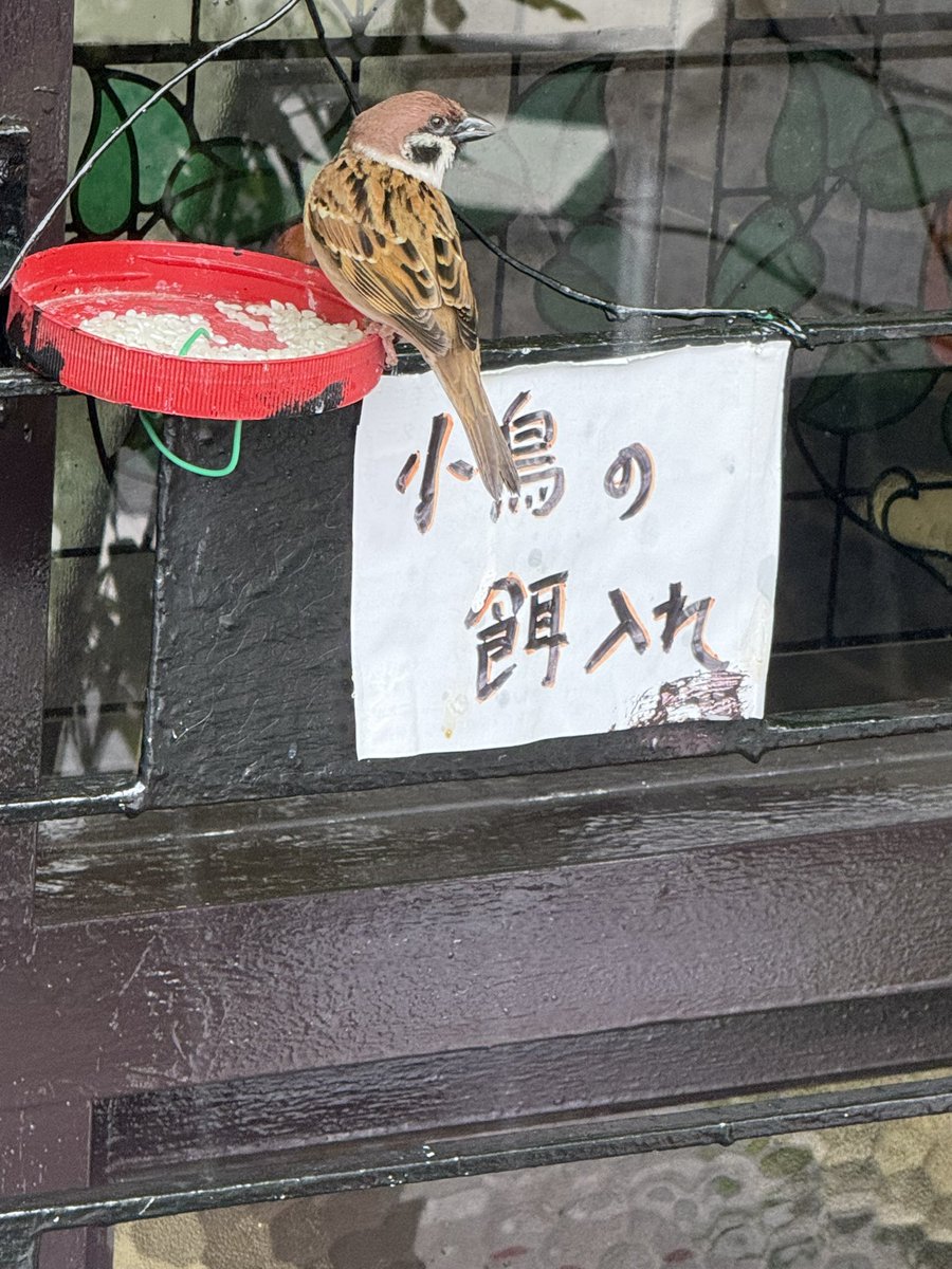 五元硬币 tweet media