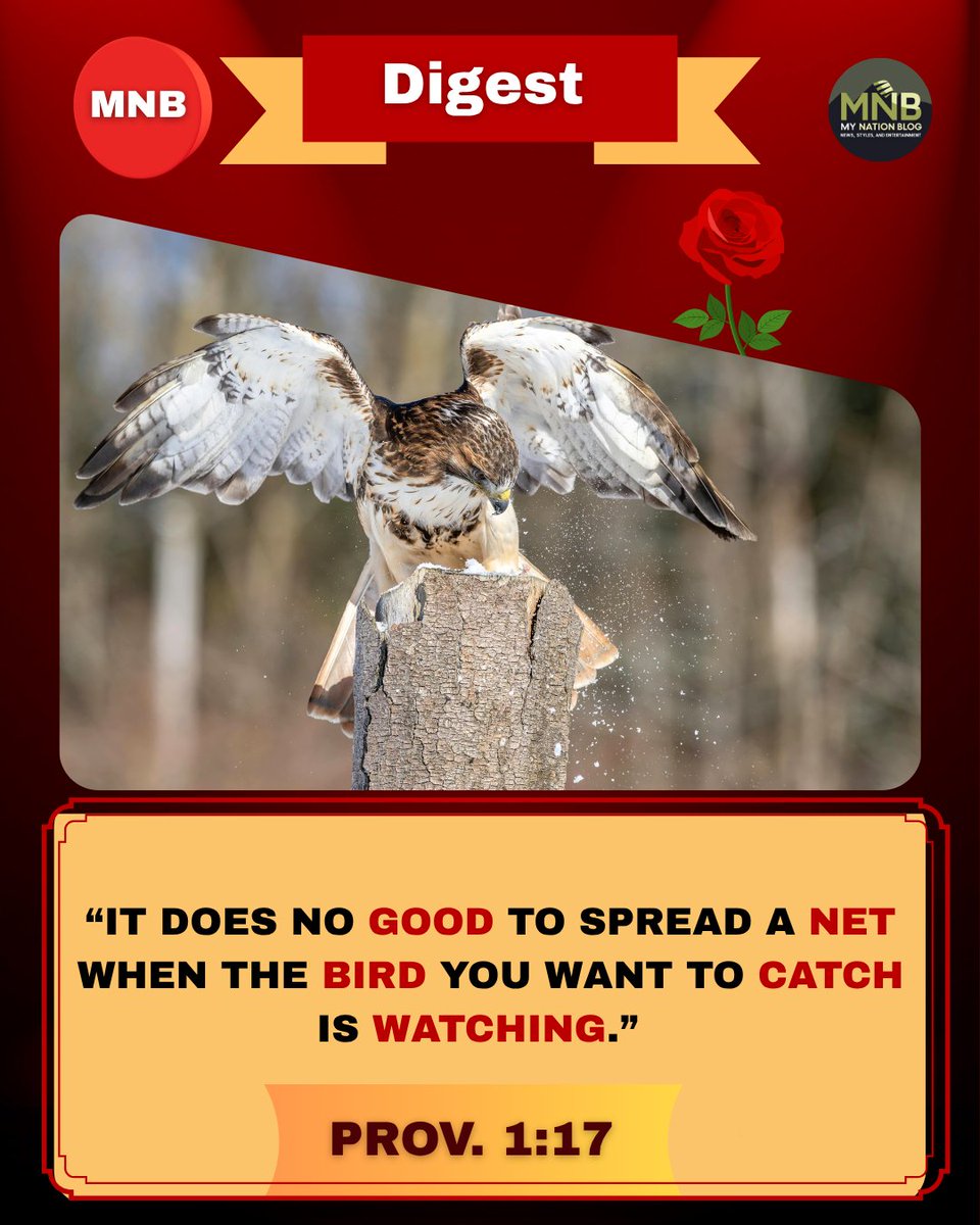 My Nation Blog: News, Style and Entertainment tweet media