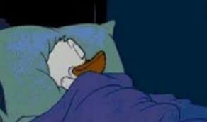 Noslin Till Brooklyn🚬 tweet media