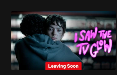 hollyslostshoe's tweet photo. netflix taking queer tv shows and movies off their platform and cancelling them in this economy is really telling.

very disgusting. https://t.co/GEwLgCts7K