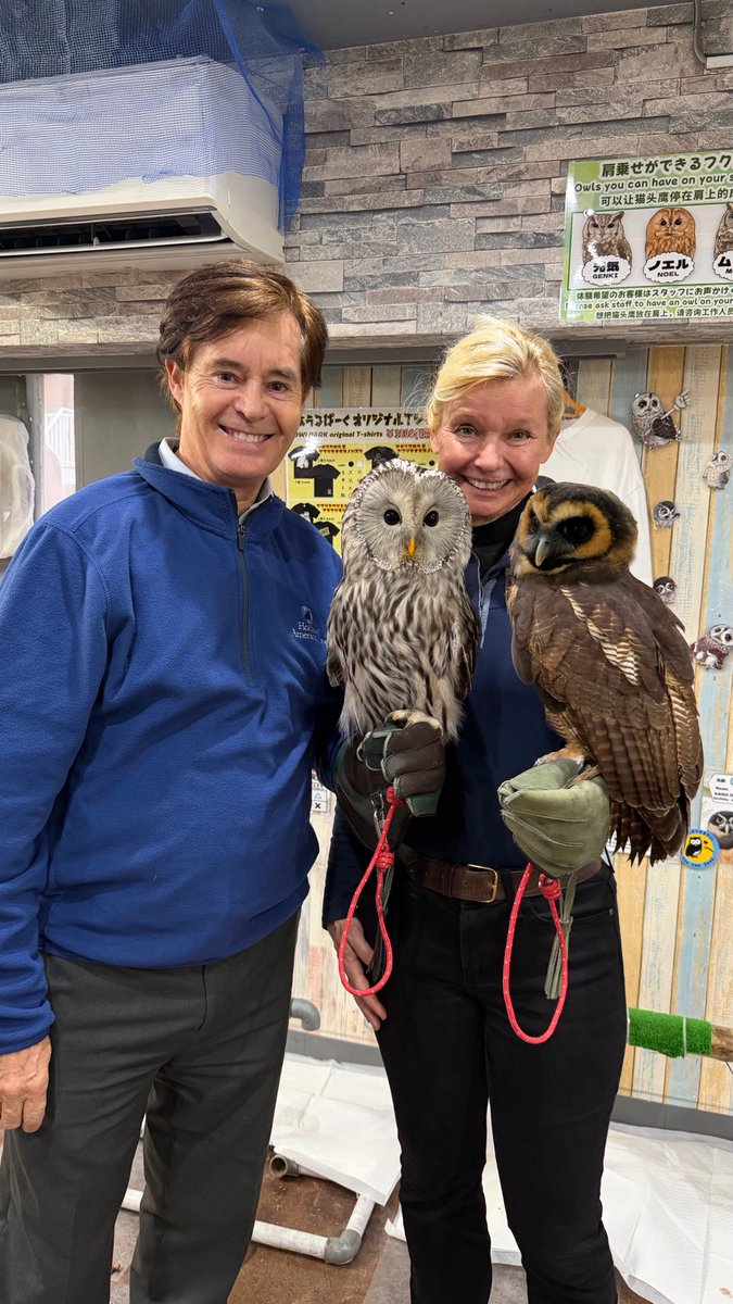 あうるぱーく フクロウカフェ池袋 ℡03(3984)1097 Owlcafe Tokyo tweet media