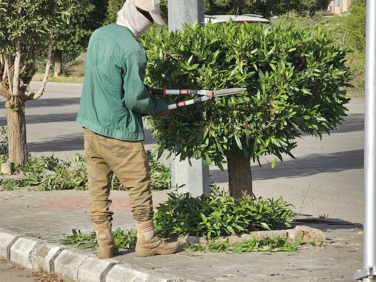 بلدية محافظة النبهانية tweet media