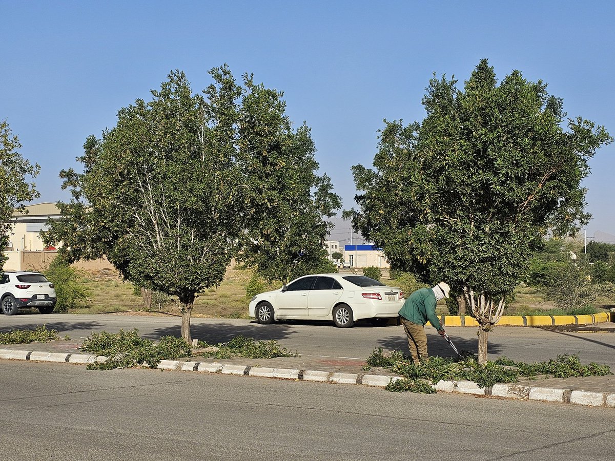 بلدية محافظة النبهانية tweet media