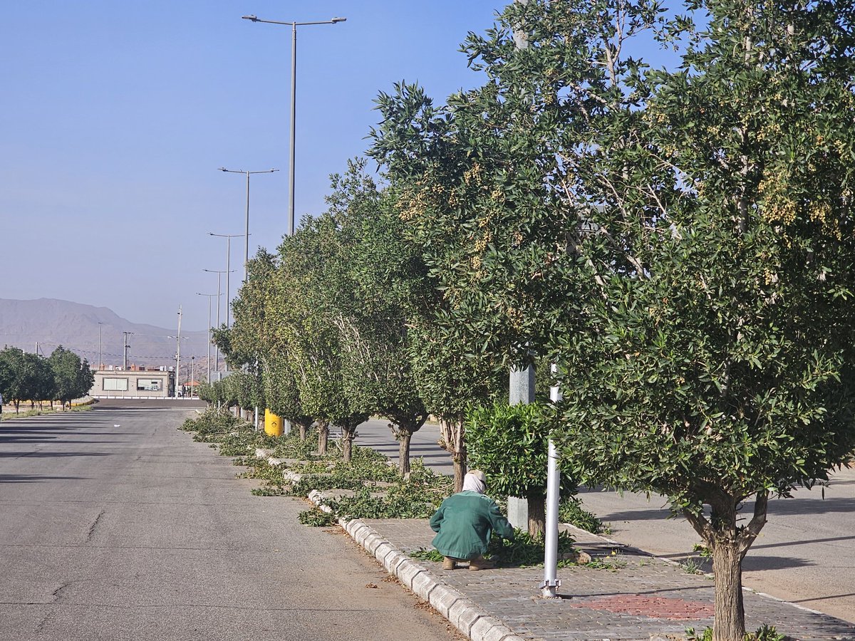 بلدية محافظة النبهانية tweet media