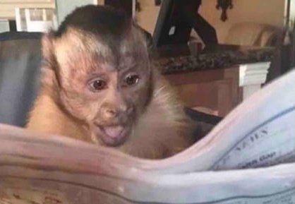 𝕭Λ𝔇𝔇Σ𝕊𝕋 tweet media