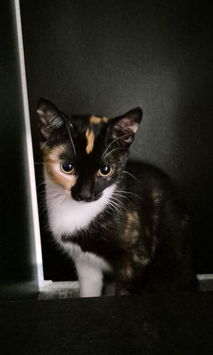 Marie Ch. tweet media