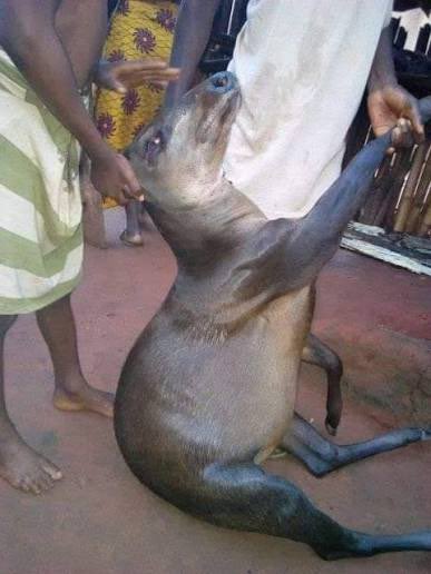 ᴅʏɴᴀᴍɪᴄ👑 tweet media