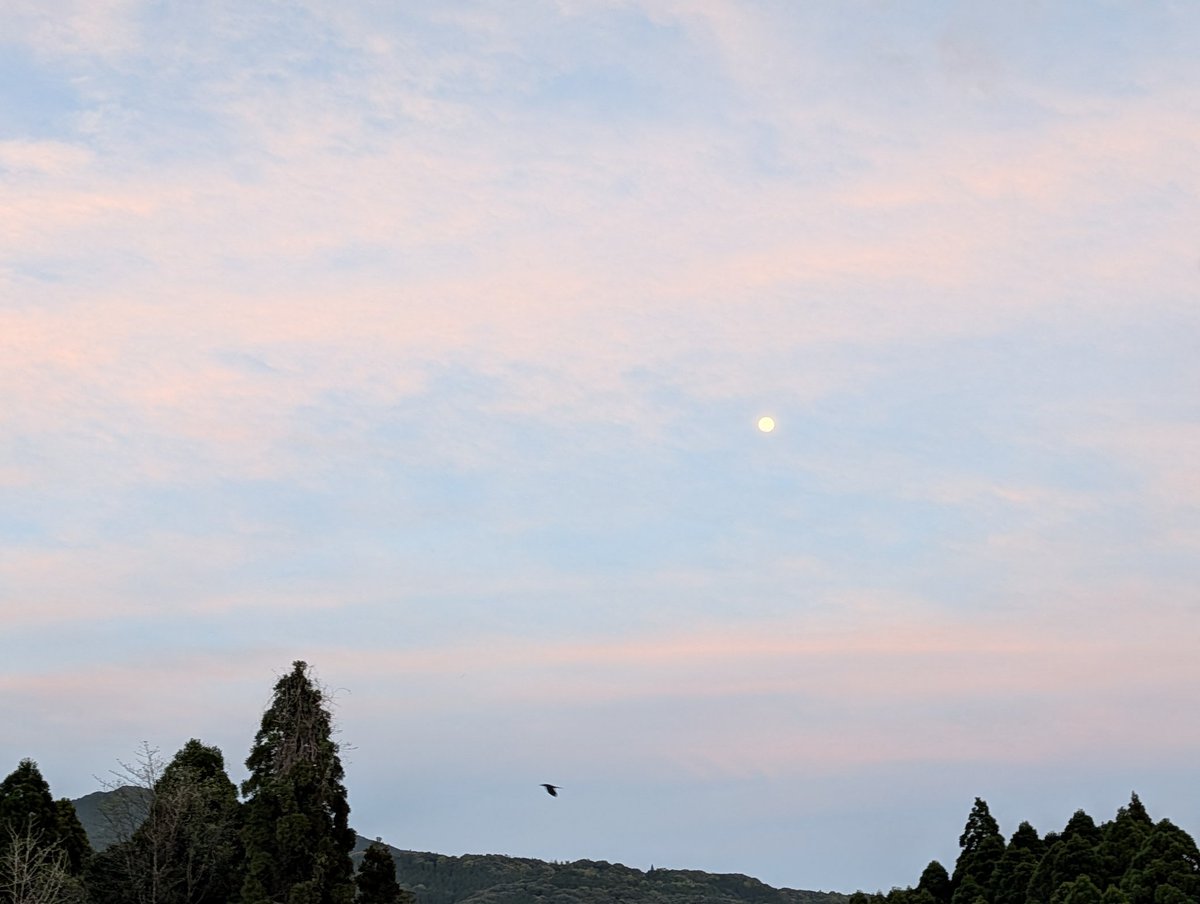 夕べも夜中もすごい☔と⚡️でした…明日もまた☔の予報
束の間夕方少し雲が薄くなった隙間からお月さまのぞきました✨
優しい空…もうすぐ満月なんですね🌝
お疲れ様でした😊