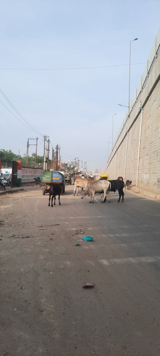 Pt_Sandeepshrma's tweet photo. लोनी स्थित रामेश्वर पार्क के वार्ड नंबर 12 में एम.आर.एफ केंद्र की हालत बेहद दयनीय है। यह एम.आर.एफ दिल्ली-देहरादून राजमार्ग 709 बी पर स्थित है यातायात में बाधा उत्पन्न कर रहा है। कृपया इसे साफ करवाएं और यातायात मुक्त बनाएं।
@NppLoni @NHAI_Official @dm_ghaziabad @UppcbG https://t.co/t926H7Z0ZI