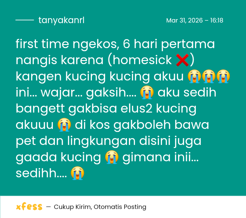 Tanyarl 💚 tweet media