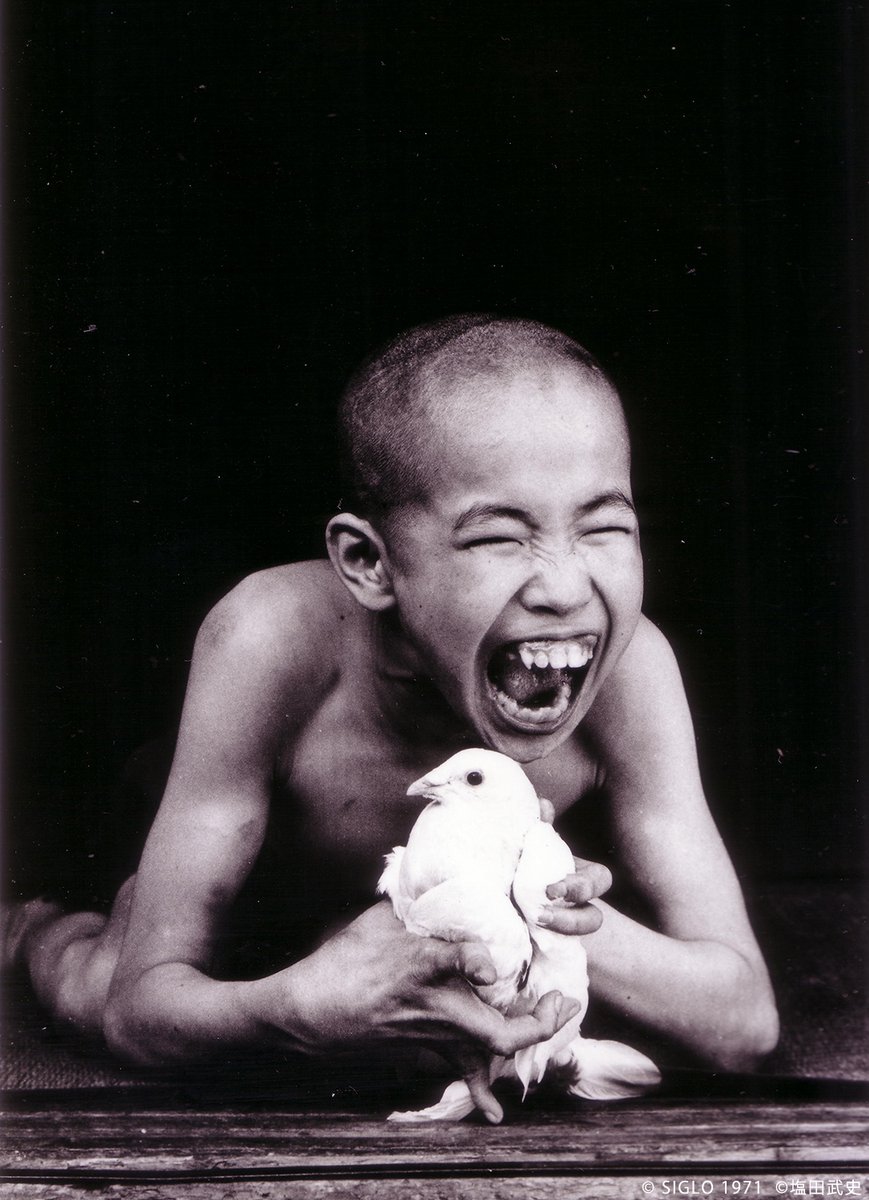 早稲田松竹 tweet media