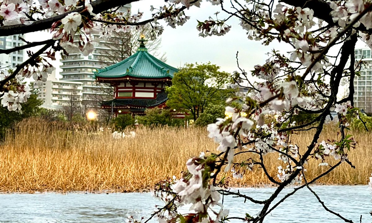 あるみ🥫みかん🍊 tweet media