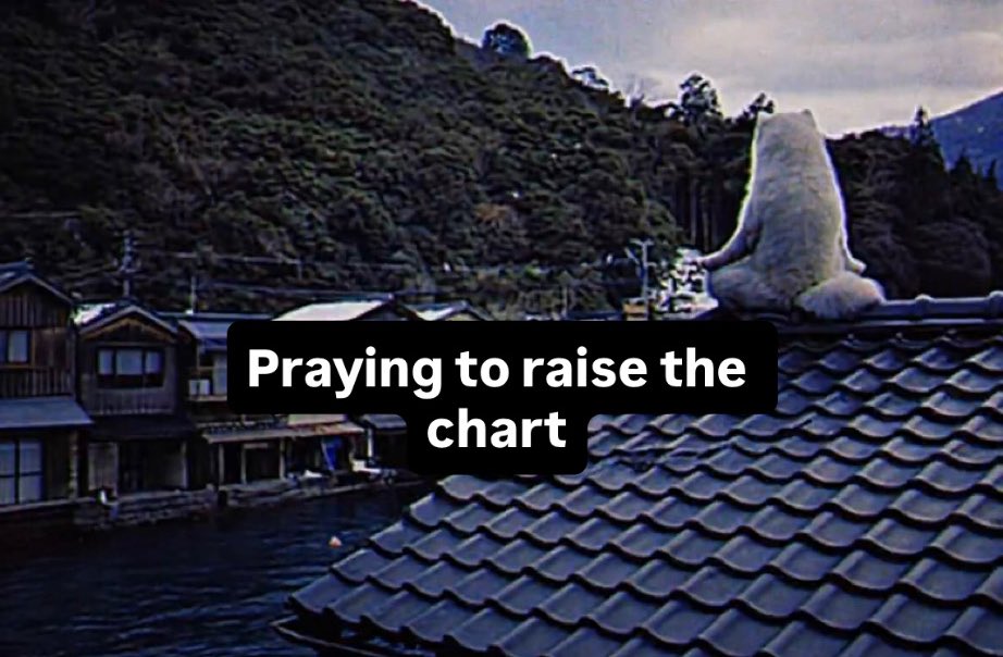 Trasportino2.0 tweet media