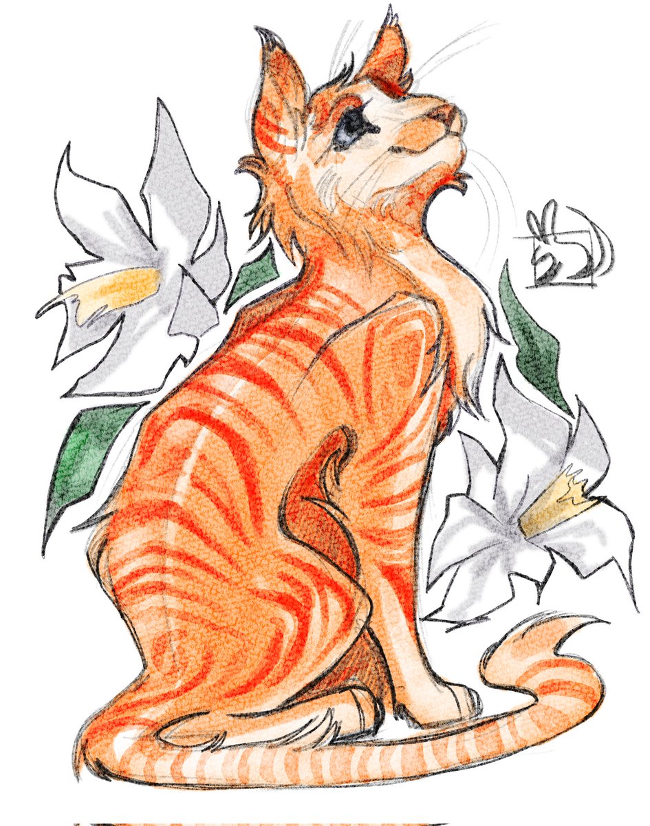 Cegi 🌠 tweet media