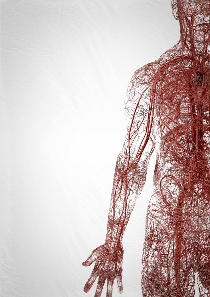 Zevra Ayşe tweet media