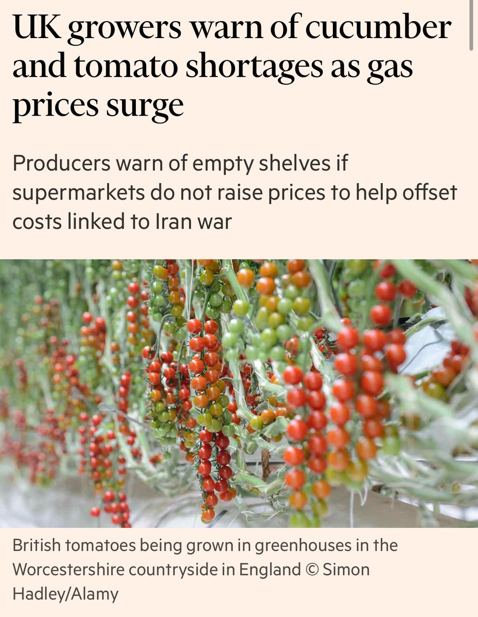 Isabella M Weber tweet media