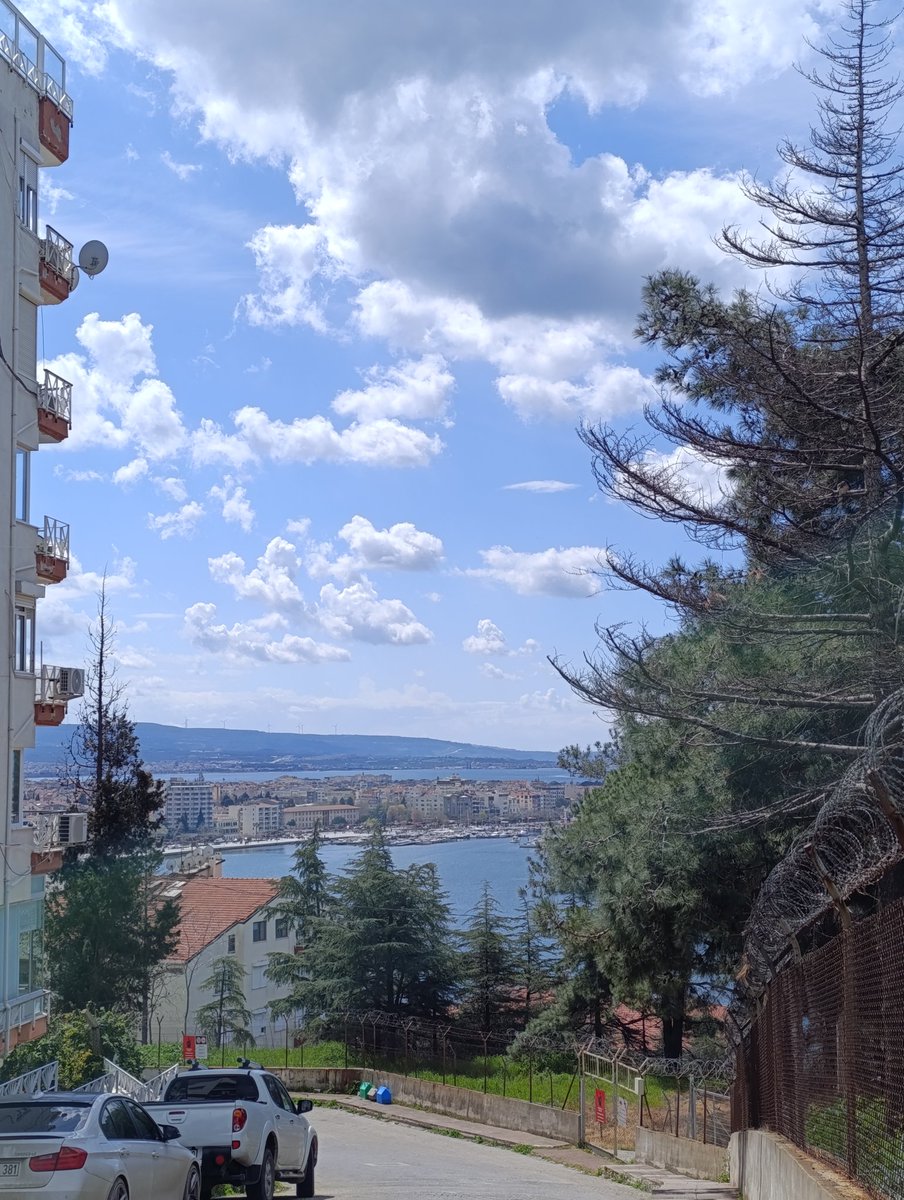 d. 🇨🇦 tweet media