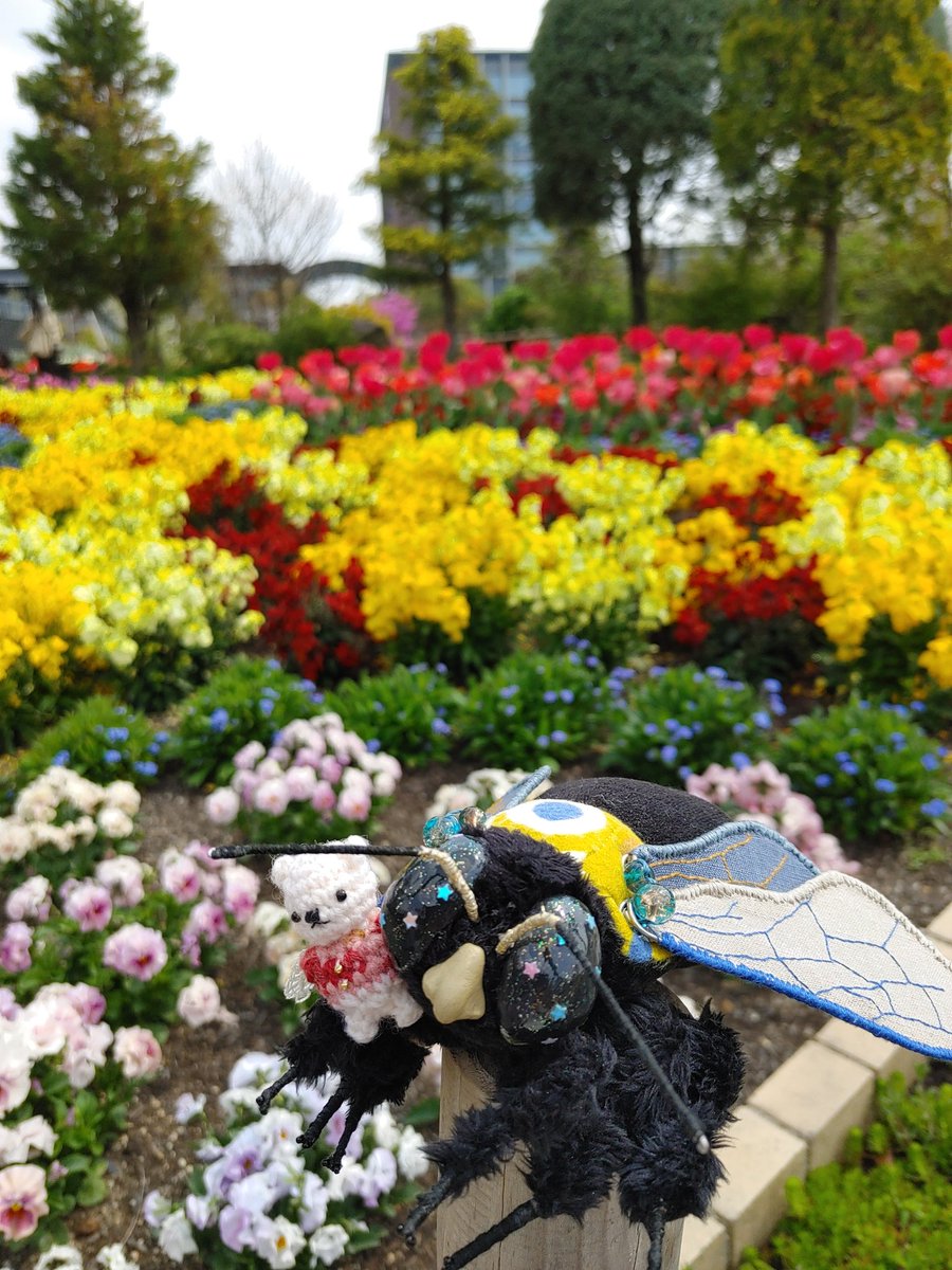 花潜り🐟 tweet media