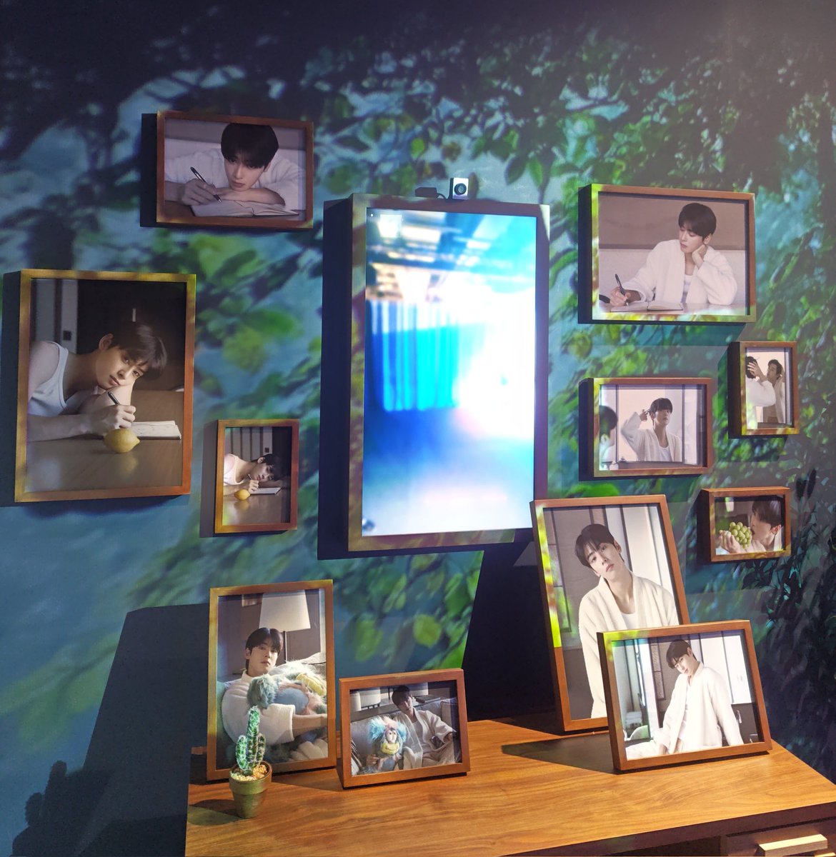 로하수호 tweet media