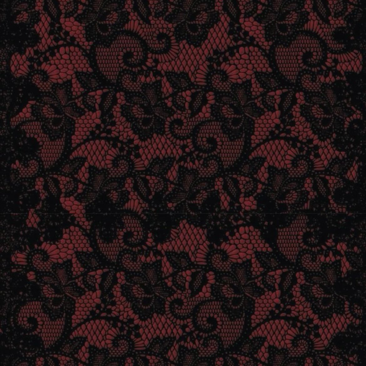 𝑆 ♡ tweet media