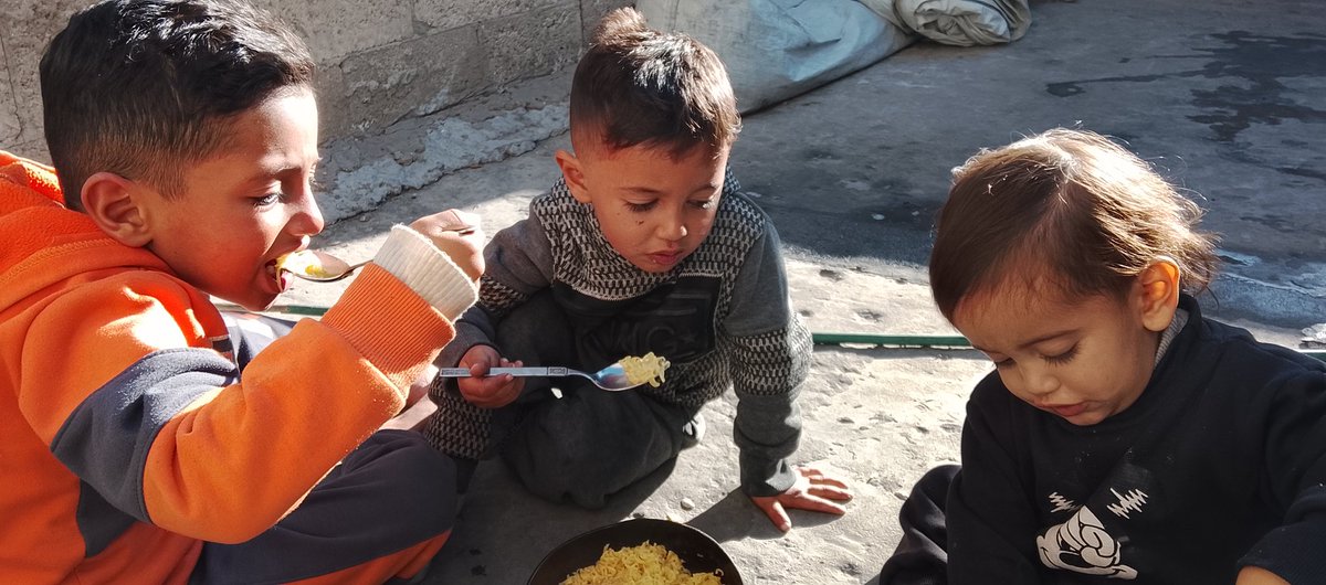 ola alashqer tweet media