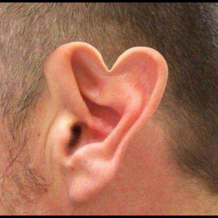 قاسم tweet media