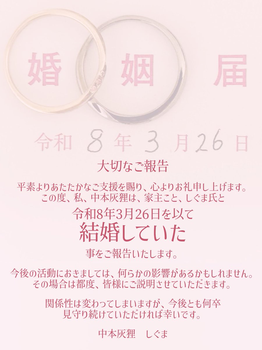 中本灰狸/LIVE2D準備中 tweet media