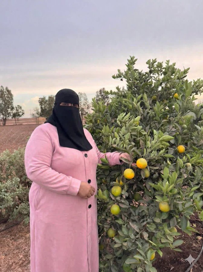 فتون tweet media