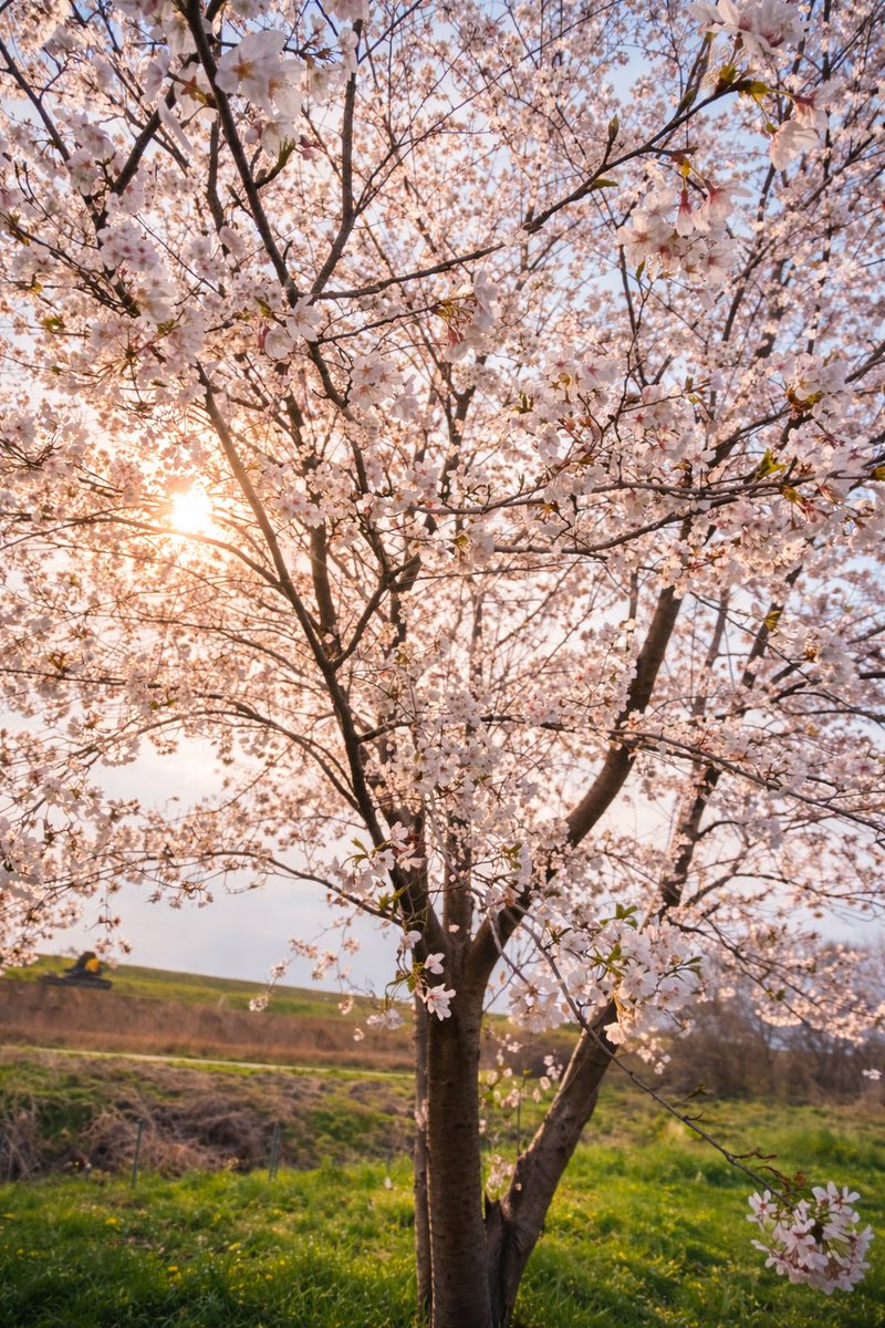 ぼんくら tweet media