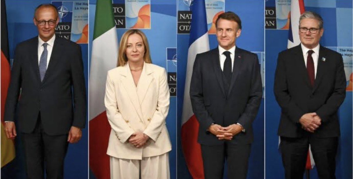 Dana Weinstein tweet media