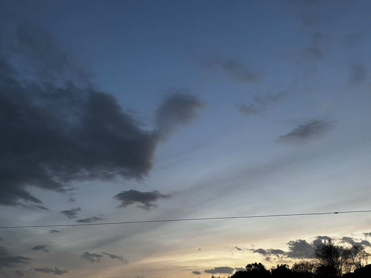 ユリイカ tweet media