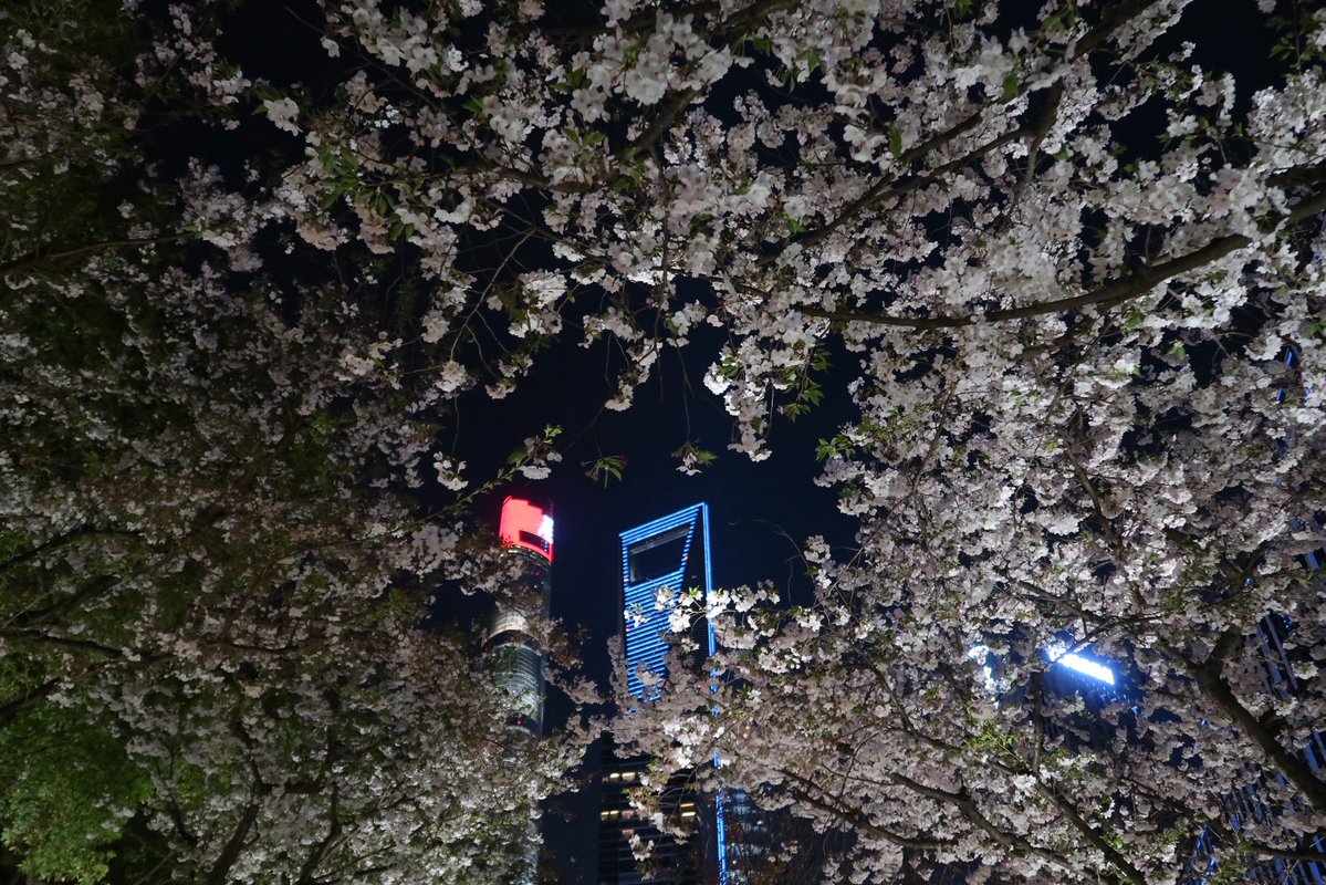 호잇짜 tweet media