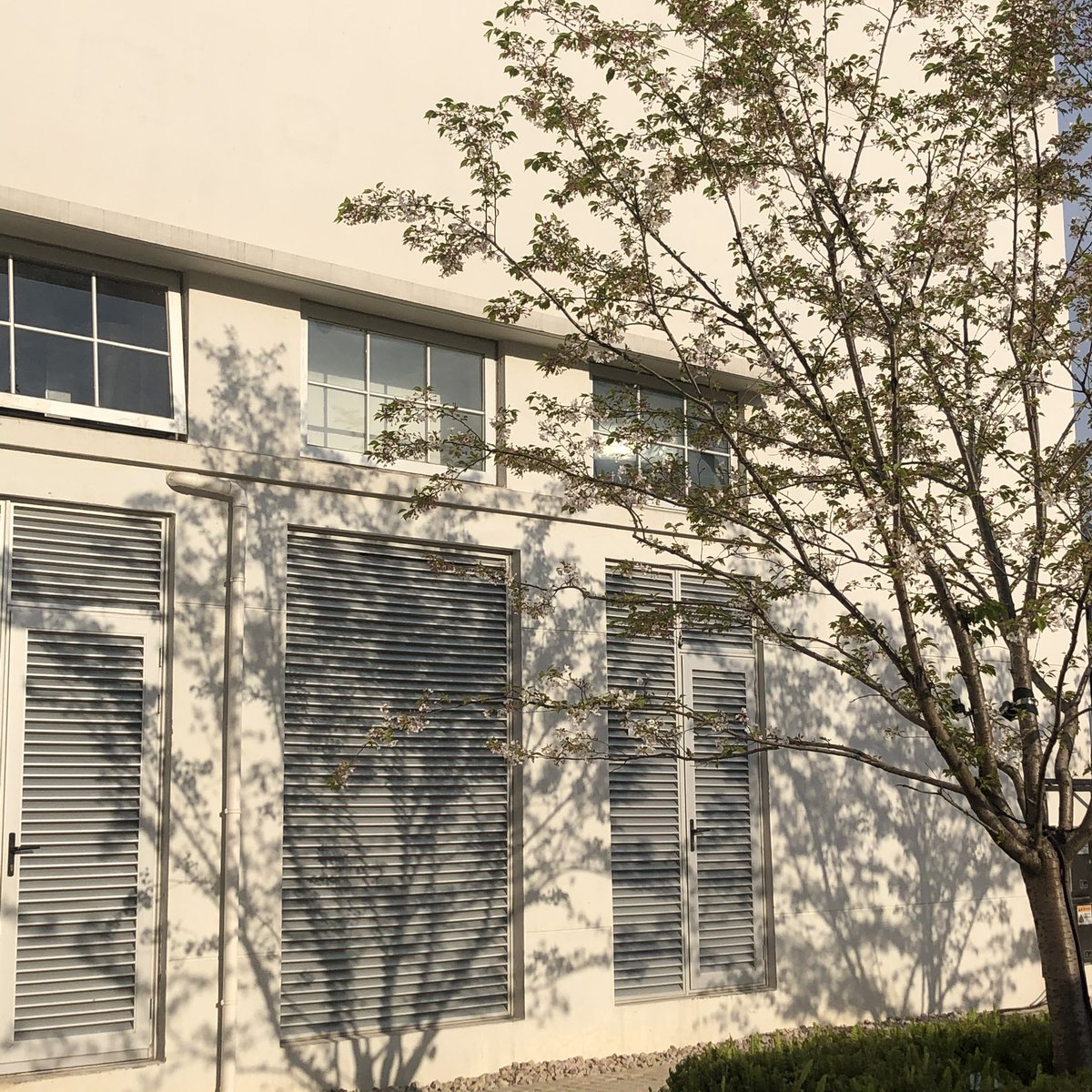 호잇짜 tweet media