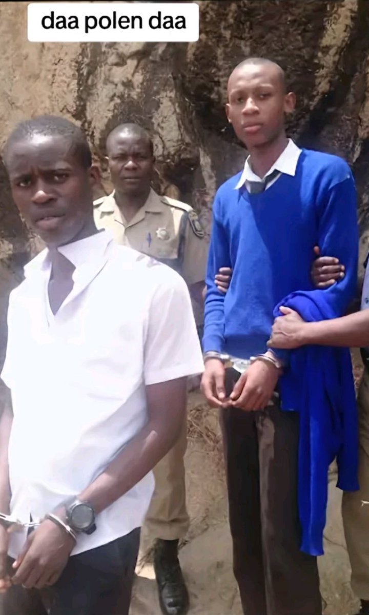 La Purga tweet media