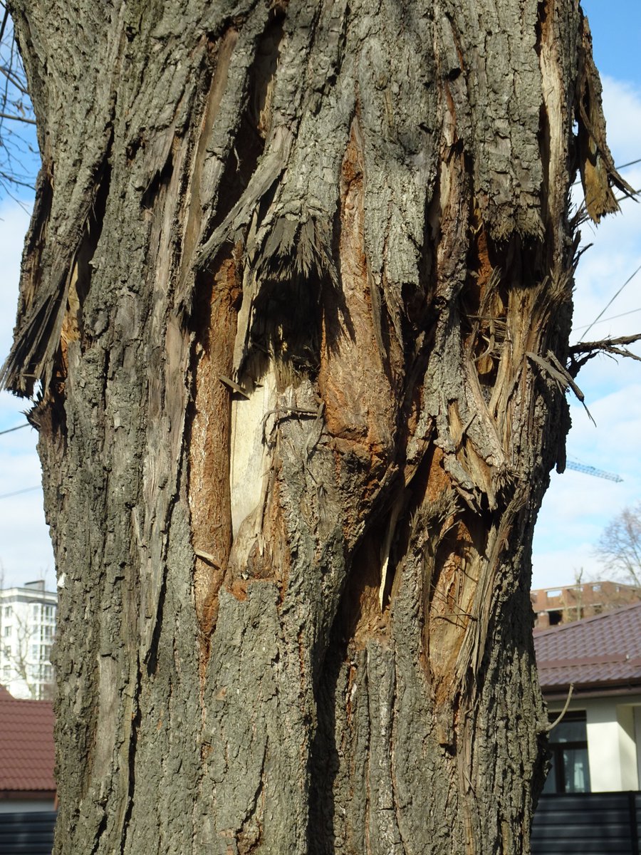 Terry F. tweet media